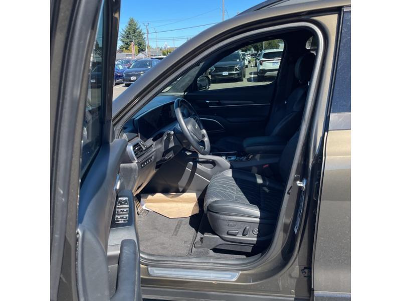 2024 Kia Telluride SX Prestige X-Line Eureka CA
