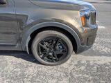2024 Kia Telluride SX X-Line Oshkosh WI