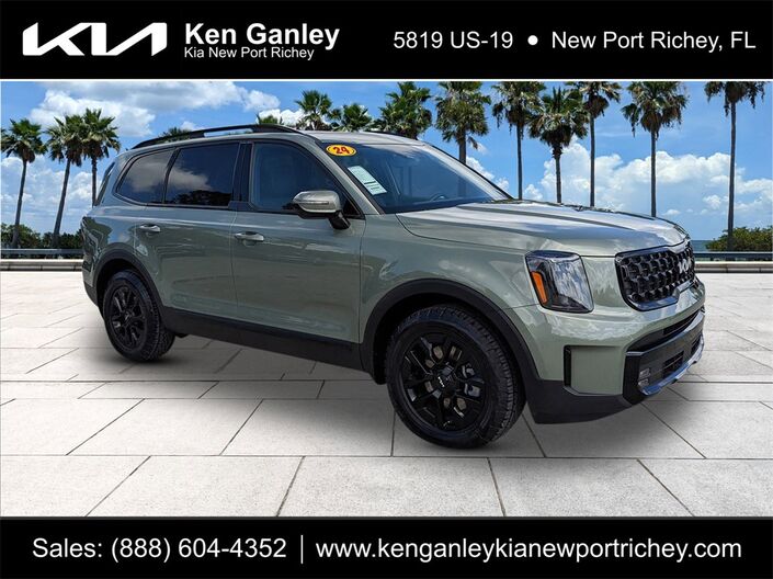 2024 Kia Telluride SX X-Pro Oshkosh WI