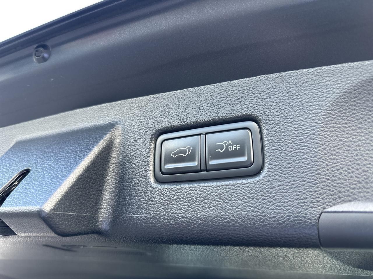2024 Kia Telluride SX X-Pro Richmond VA