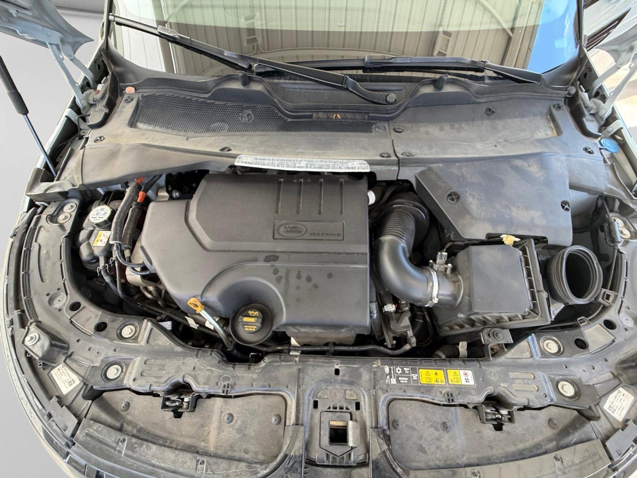 2024 Land Rover Range Rover Evoque Dynamic SE  Selma TX