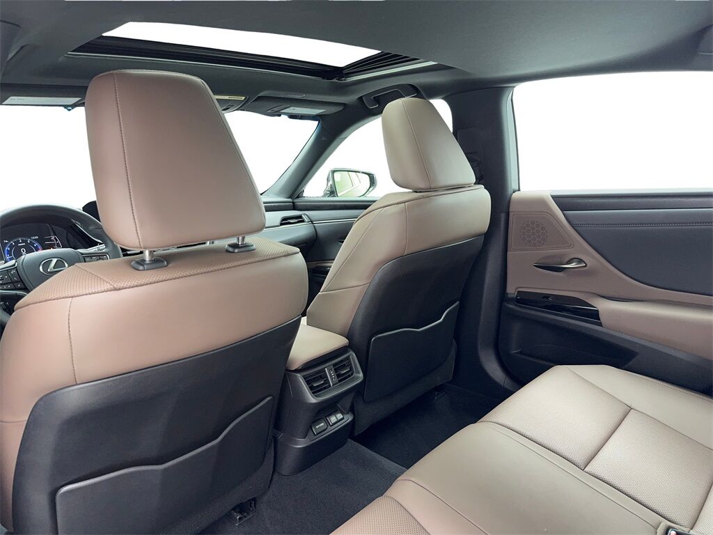 2024 Lexus ES 250 CAM,SUNROOF,CLMT STS,BLIND SPOT Plano TX