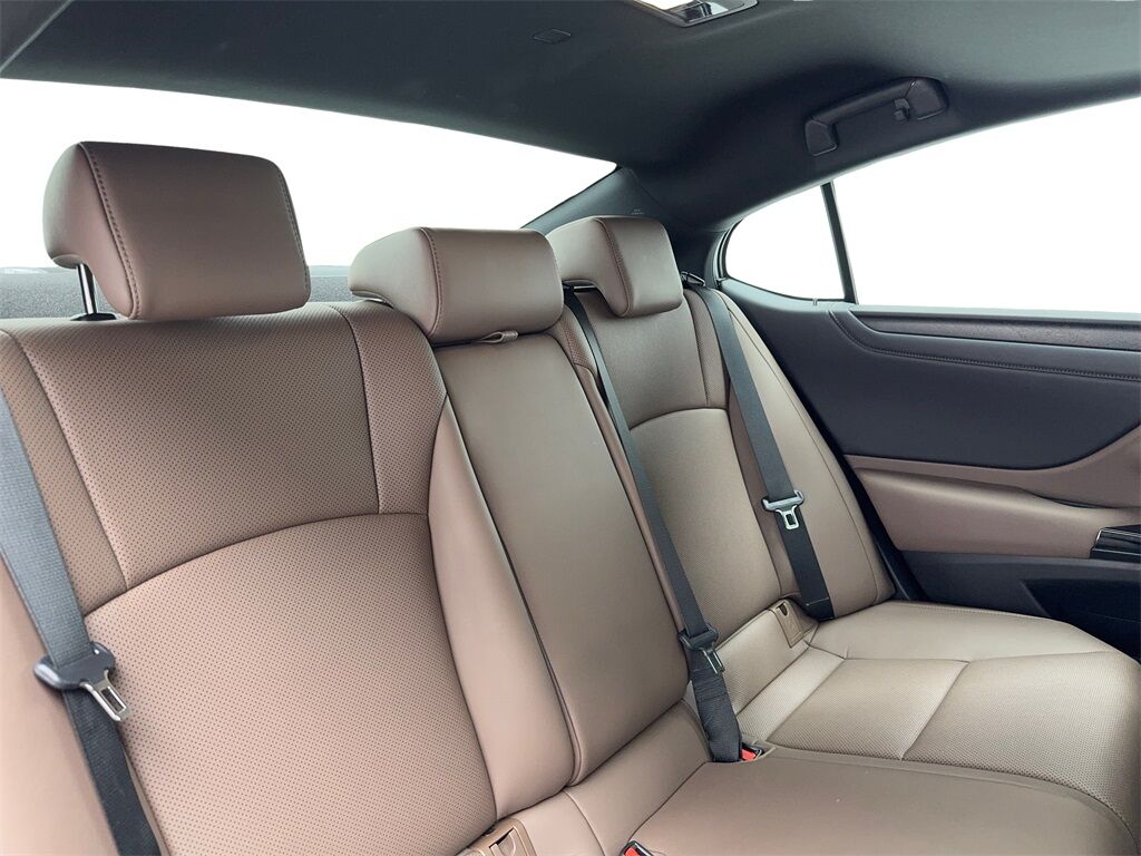 2024 Lexus ES 250 CAM,SUNROOF,CLMT STS,BLIND SPOT Plano TX