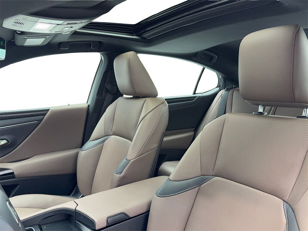 2024 Lexus ES 250 CAM,SUNROOF,CLMT STS,BLIND SPOT Plano TX