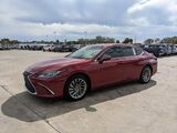 2024 Lexus ES 300h Luxury Oshkosh WI