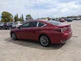 2024 Lexus ES 300h Luxury Oshkosh WI