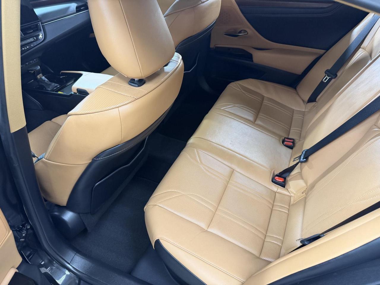 2024 Lexus ES 300h Luxury Annapolis MD