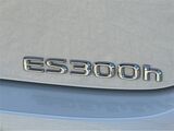 2024 Lexus ES 300h San Diego County CA