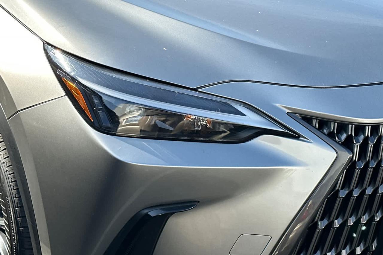 2024 Lexus NX Roseville CA