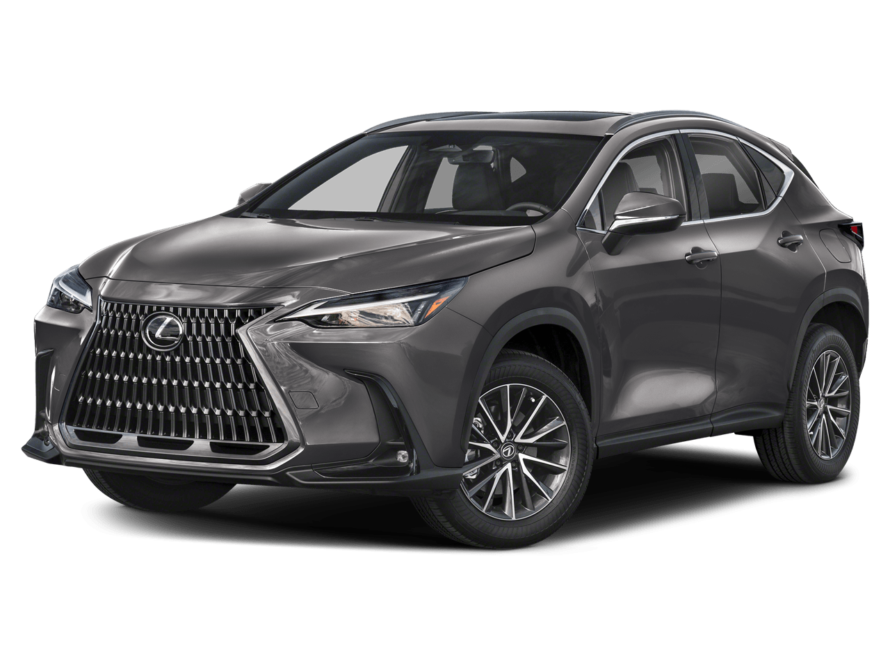 2024 Lexus NX 250
