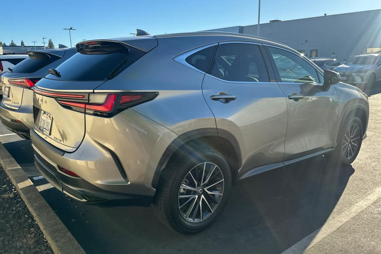 2024 Lexus NX 250