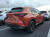 2024 Lexus NX 250 Base Oshkosh WI