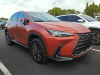 2024 Lexus NX 250 Base