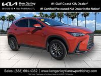 2024 Lexus NX 250 Base