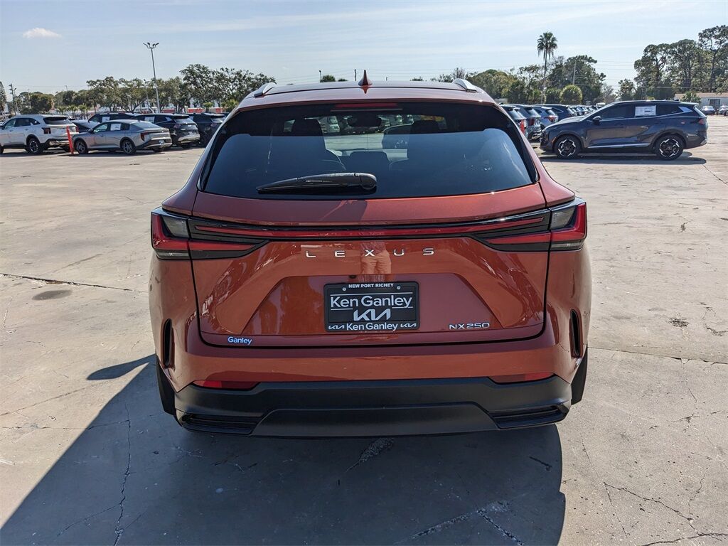 2024 Lexus NX 250 Base San Clemente CA