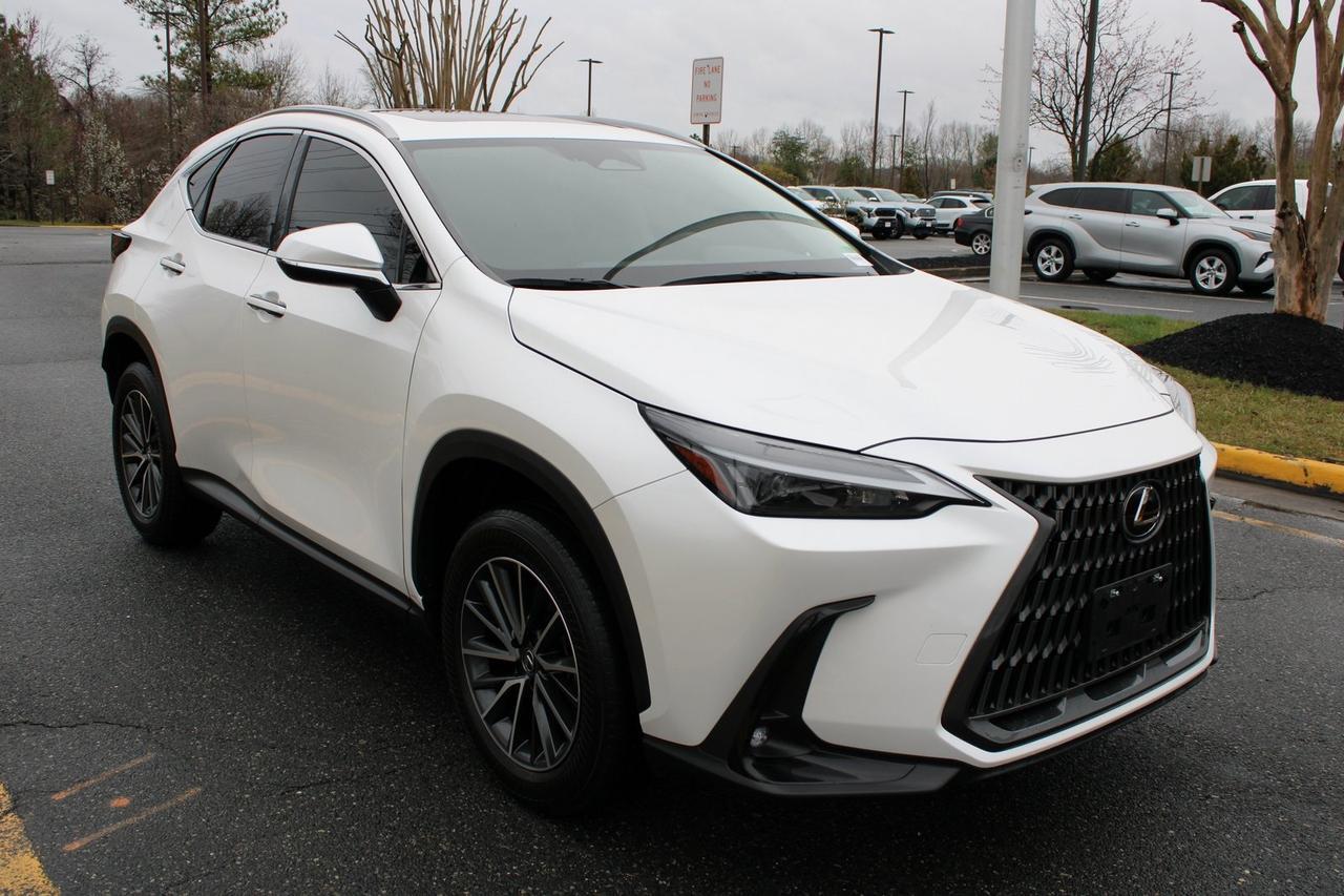 2024 Lexus NX