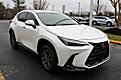 2024 Lexus NX 250 Base