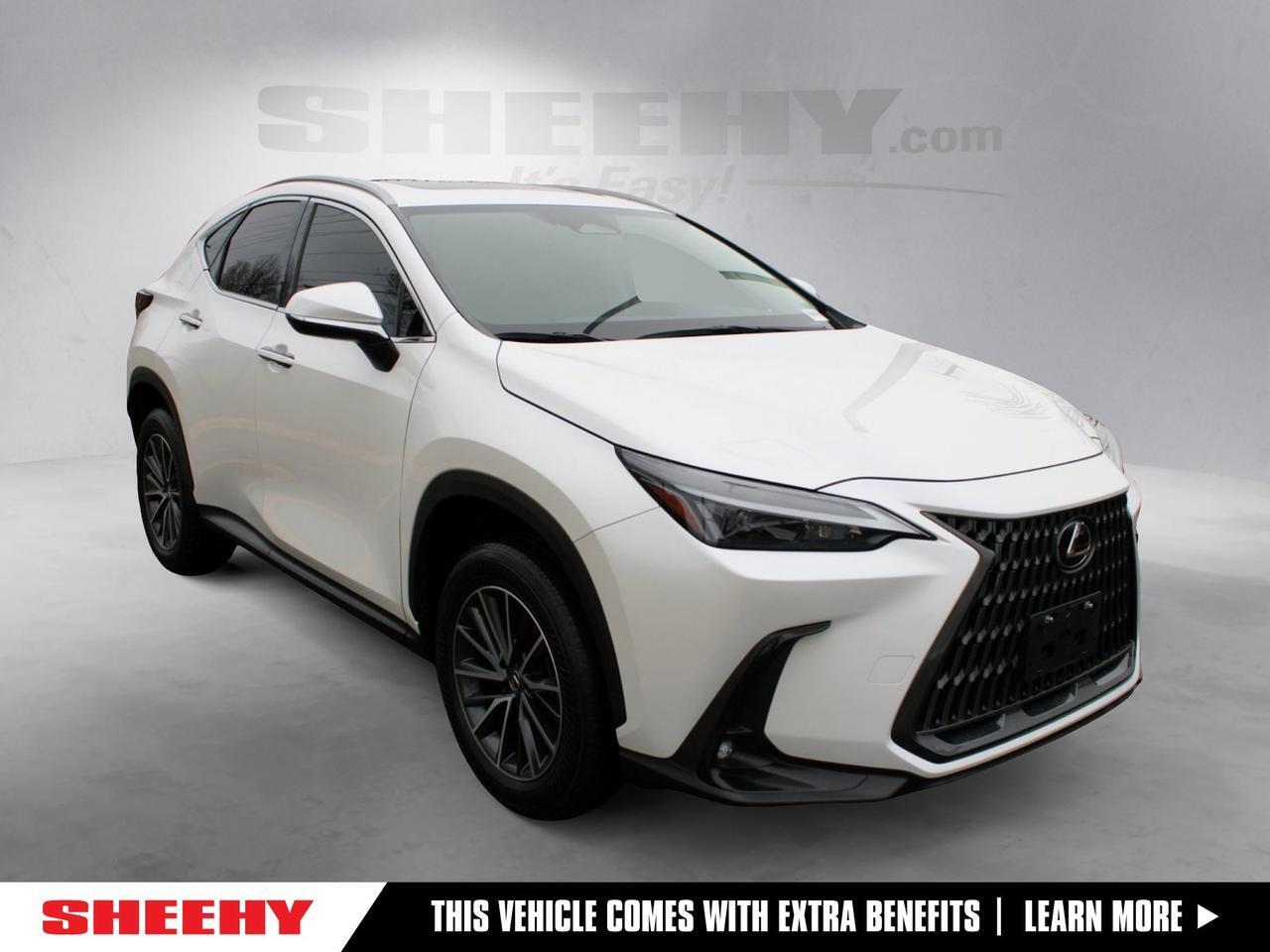 2024 Lexus NX