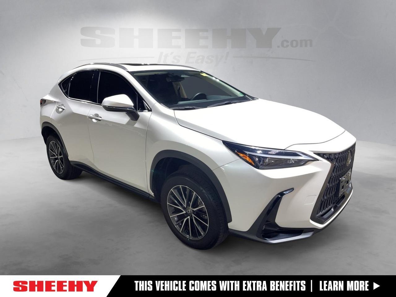 2024 Lexus NX
