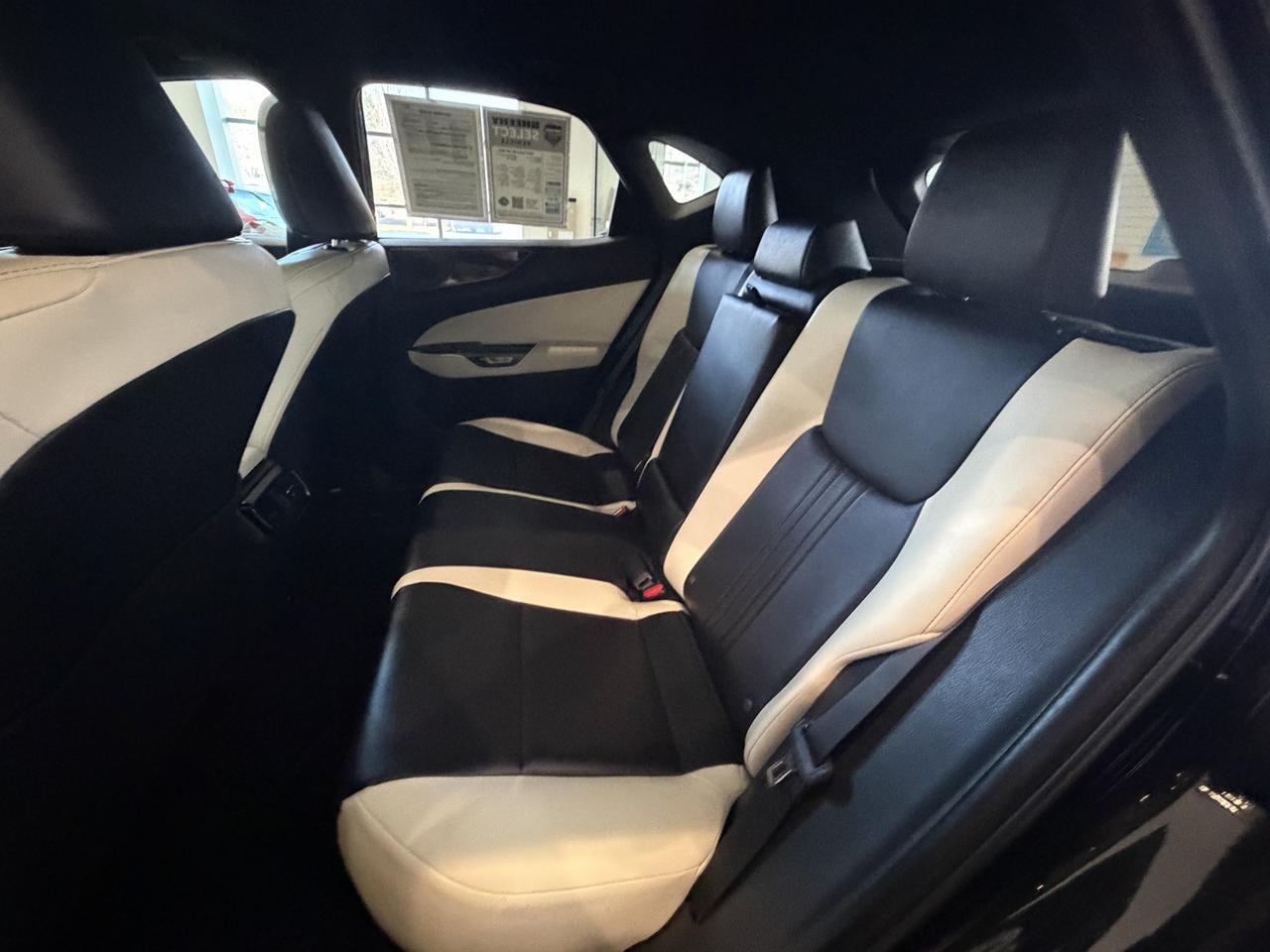 2024 Lexus NX 250 Base Annapolis MD