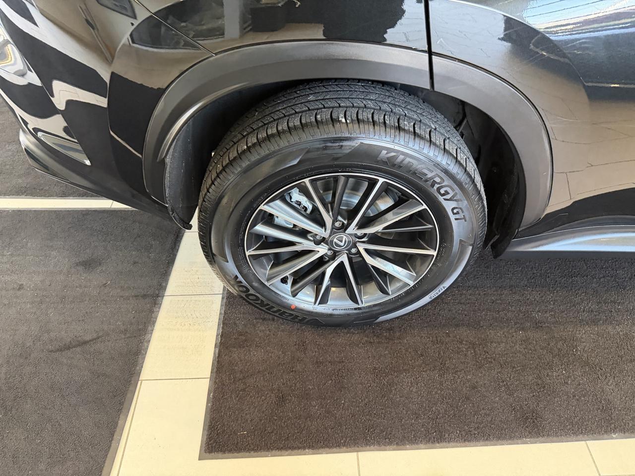 2024 Lexus NX 250 Base Annapolis MD