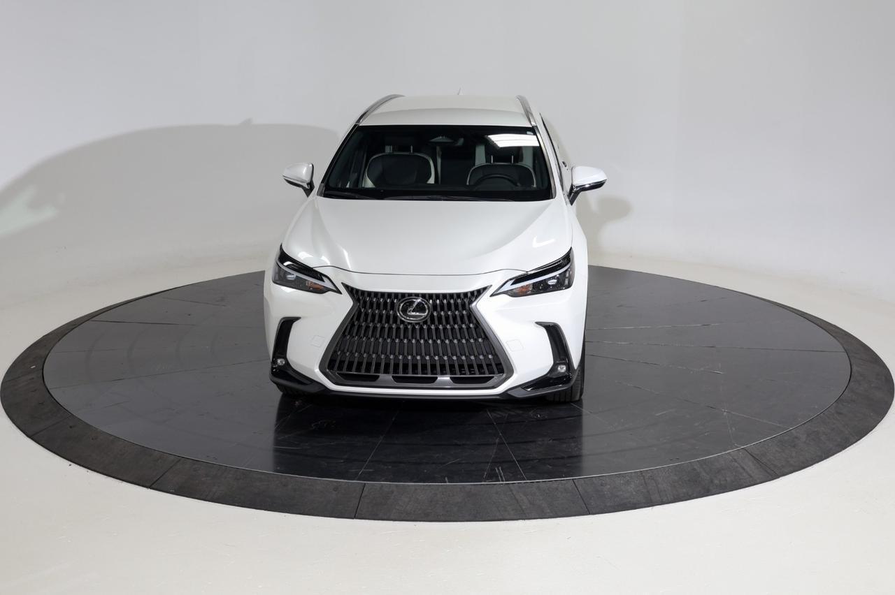 2024 Lexus NX 250 Franklin TN