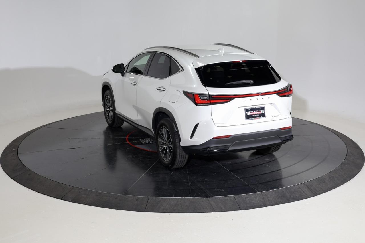 2024 Lexus NX 250 Franklin TN