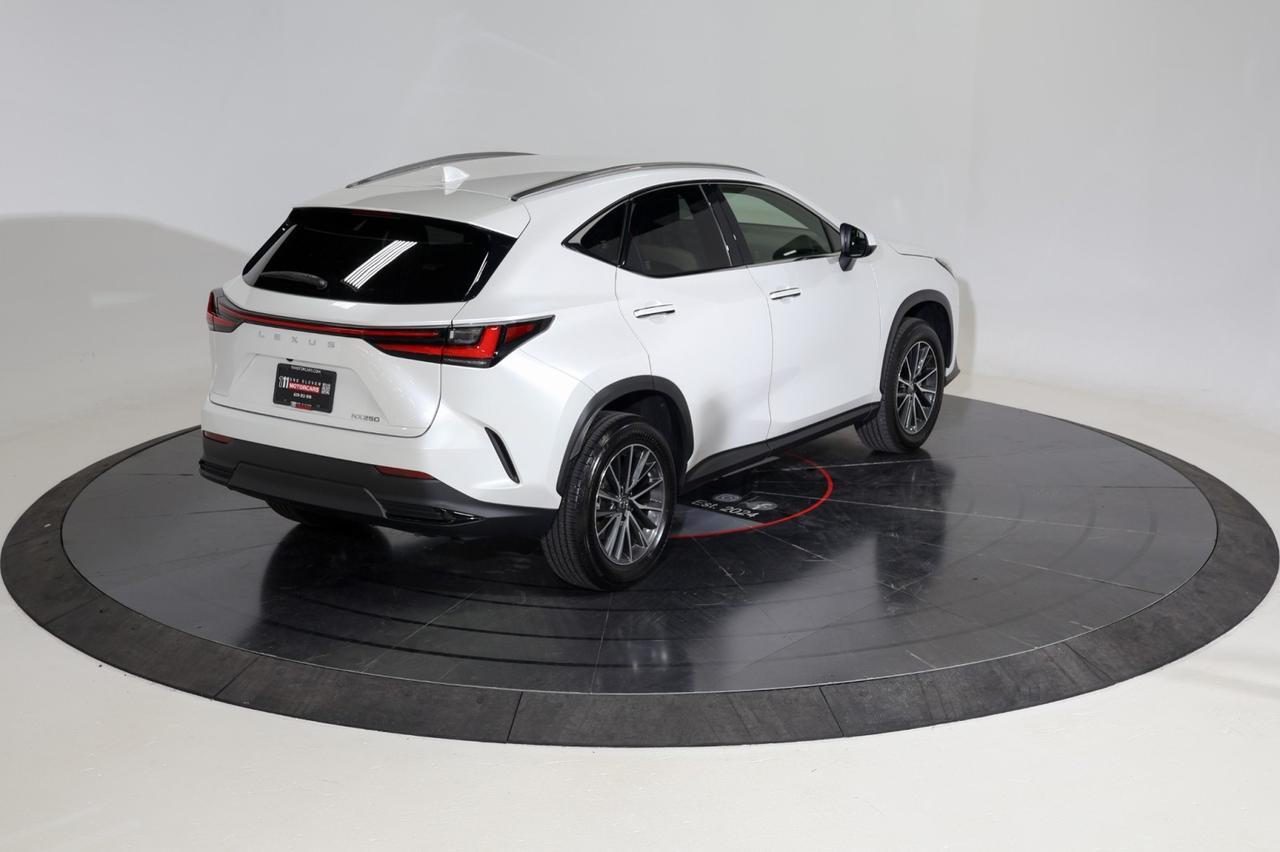 2024 Lexus NX 250 Franklin TN