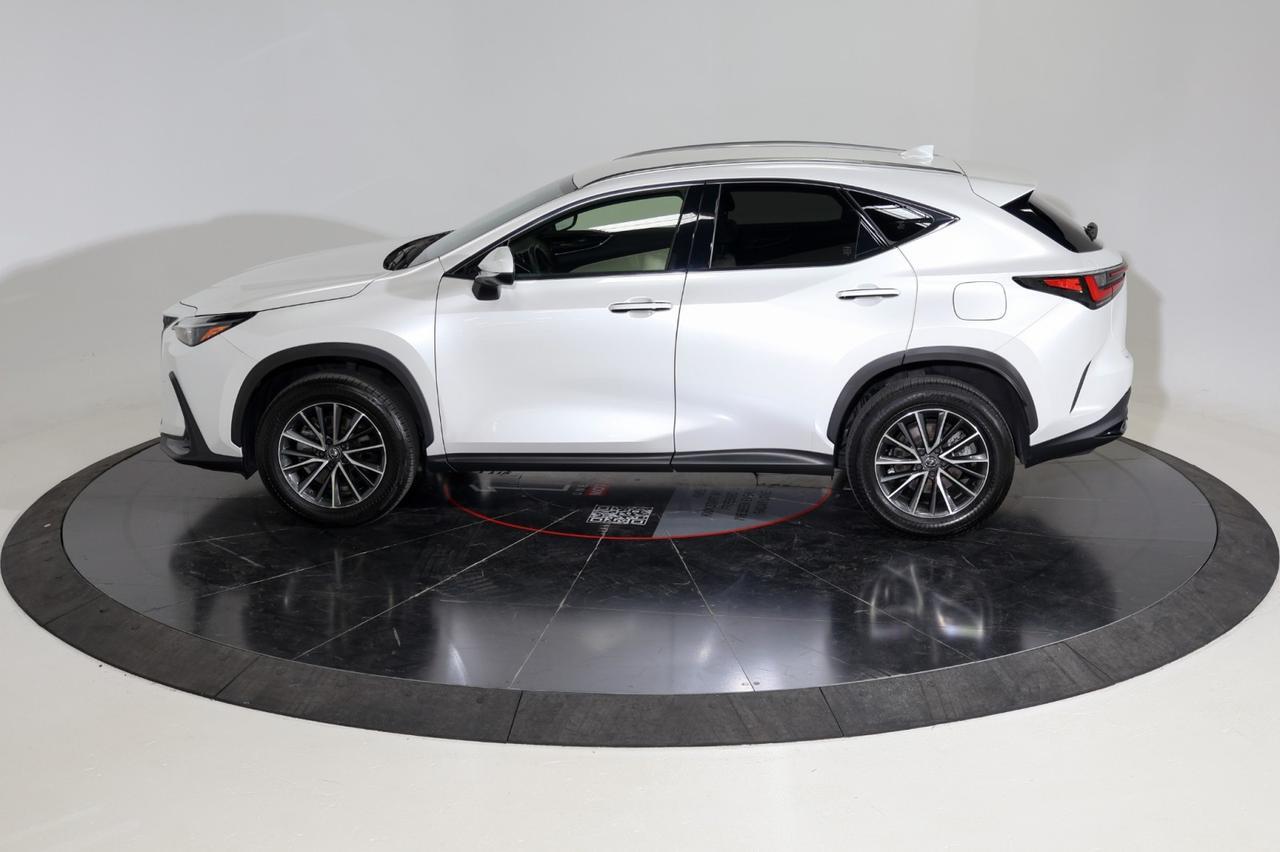 2024 Lexus NX 250 Franklin TN
