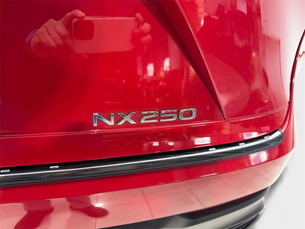 2024 Lexus NX 250 NAV,CAM,HTD STS,BLIND SPOT,18&quot; WLS Irving TX