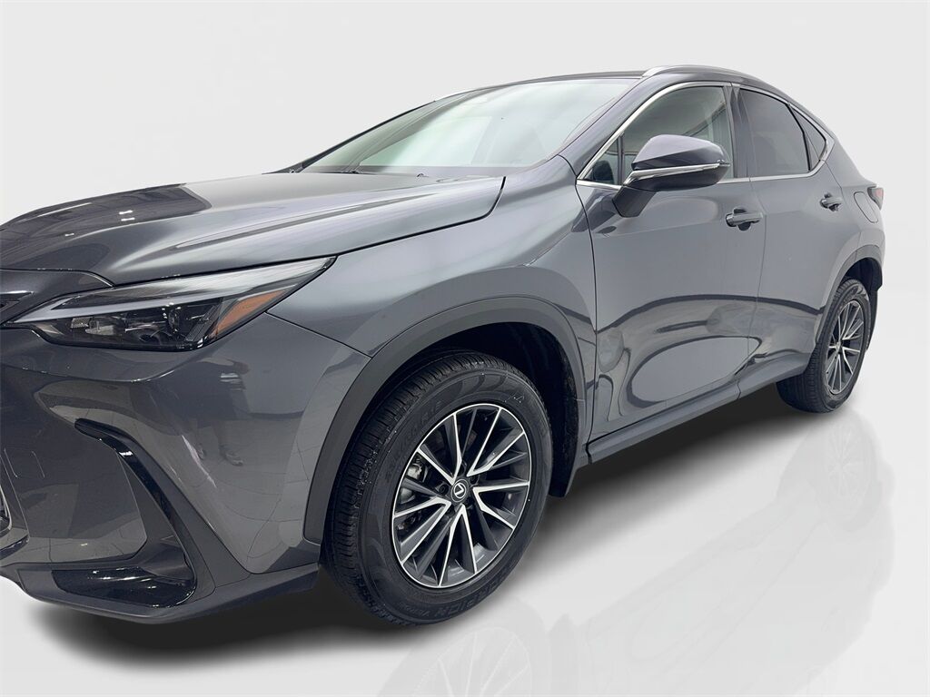 2024 Lexus NX 250 NAV,CAM,SUNROOF,CLMT STS,BLIND PSOT,18&quot; WLS Irving TX