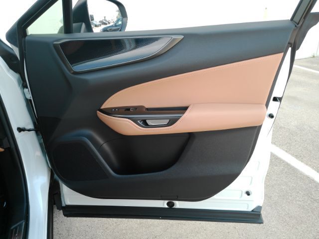 2024 Lexus NX 250 NX250 Plano TX