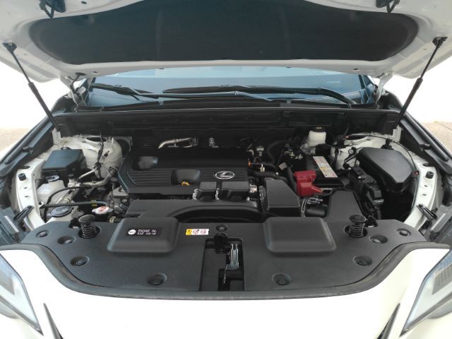 2024 Lexus NX 250 NX250 Plano TX