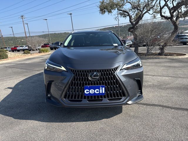 2024 Lexus NX 250 Premium