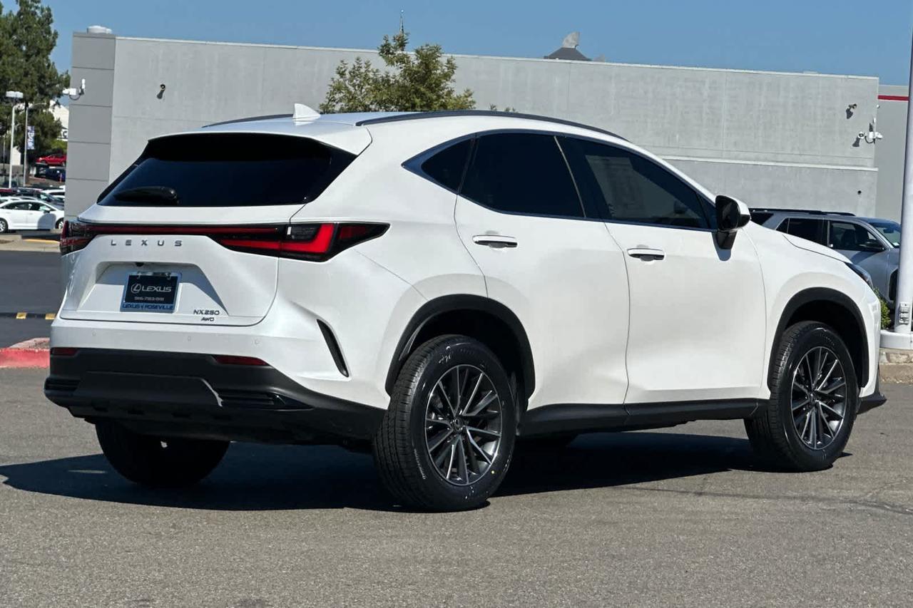 2024 Lexus NX 250 Premium