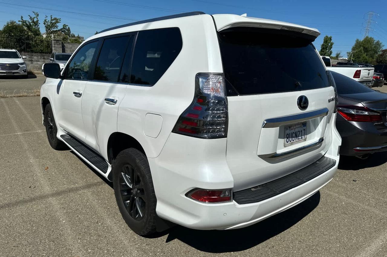 2024 Lexus NX 250 Premium Roseville CA