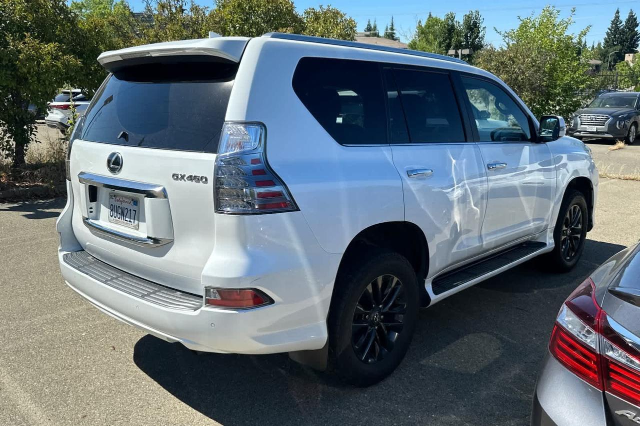 2024 Lexus NX 250 Premium