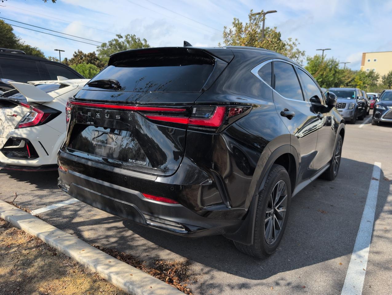 2024 Lexus NX 250 Premium