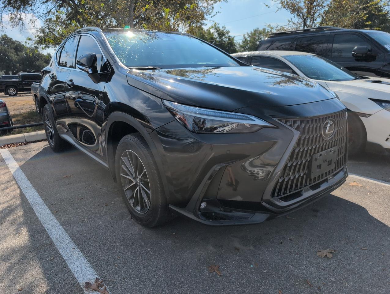 2024 Lexus NX 250 Premium