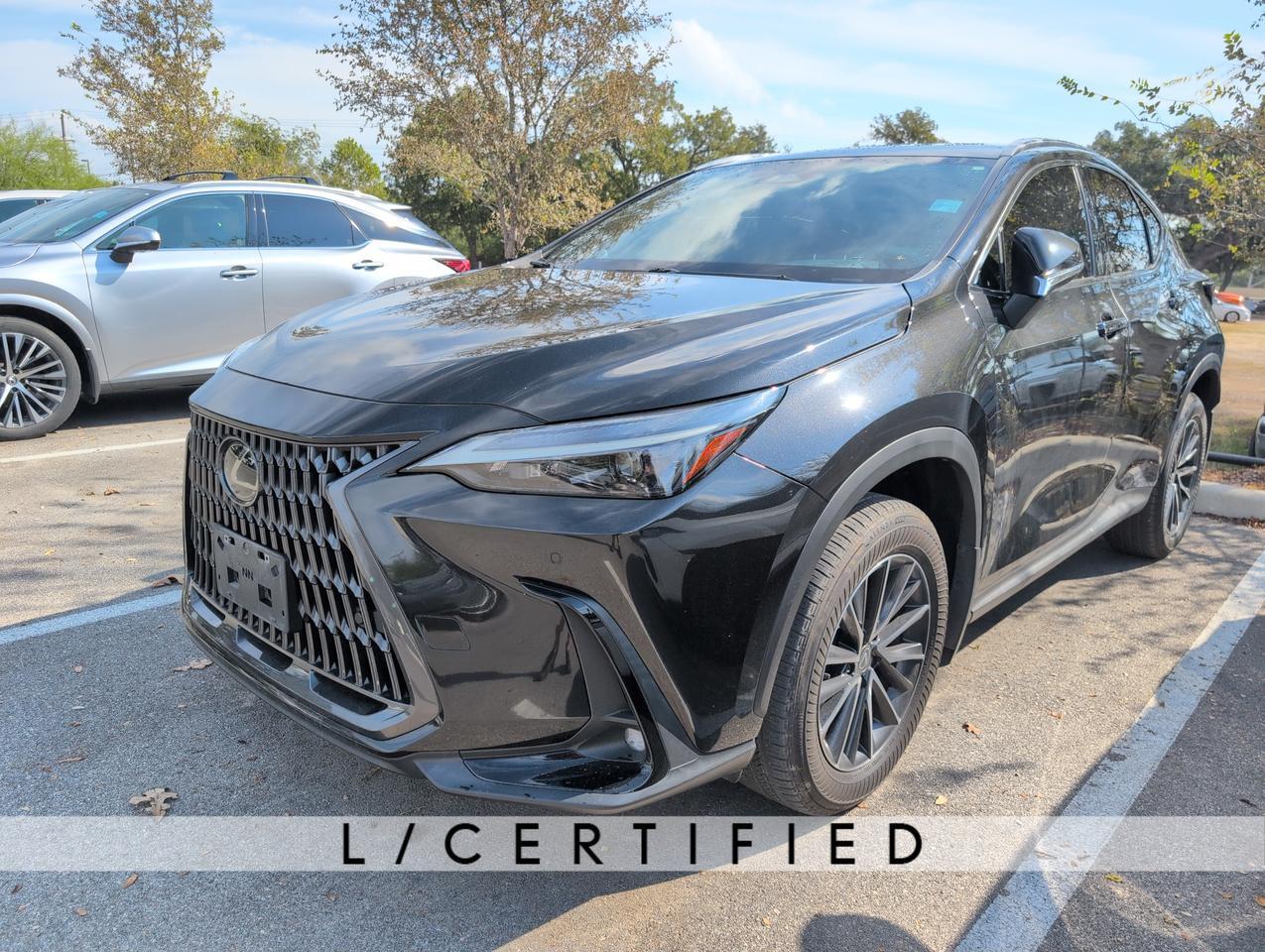 2024 Lexus NX 250 Premium