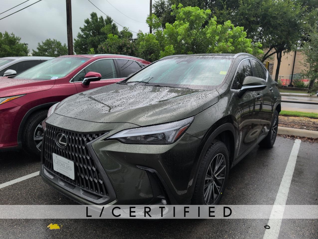 2024 Lexus NX