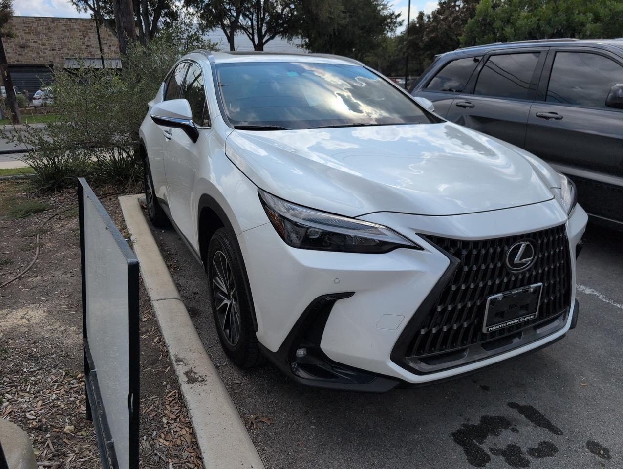 2024 Lexus NX 250 Premium