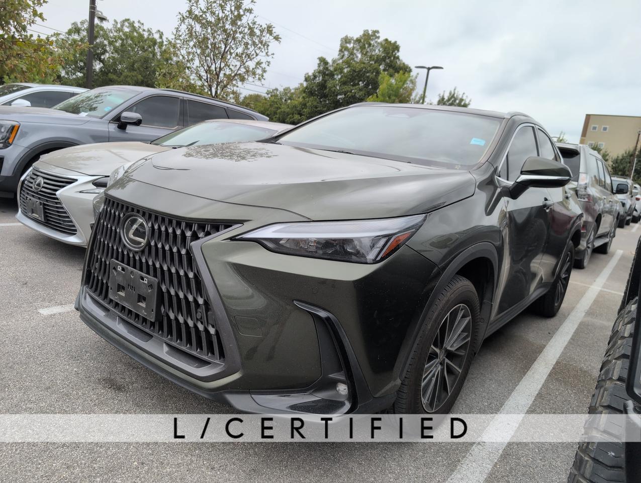 2024 Lexus NX 250 Premium