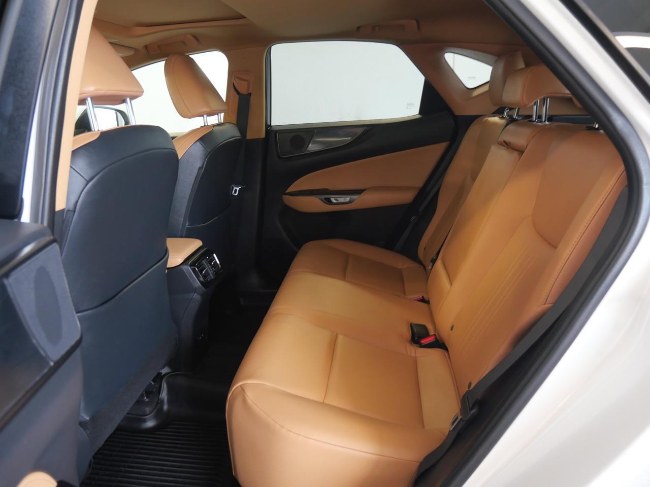 2024 Lexus NX 250 Premium San Juan TX