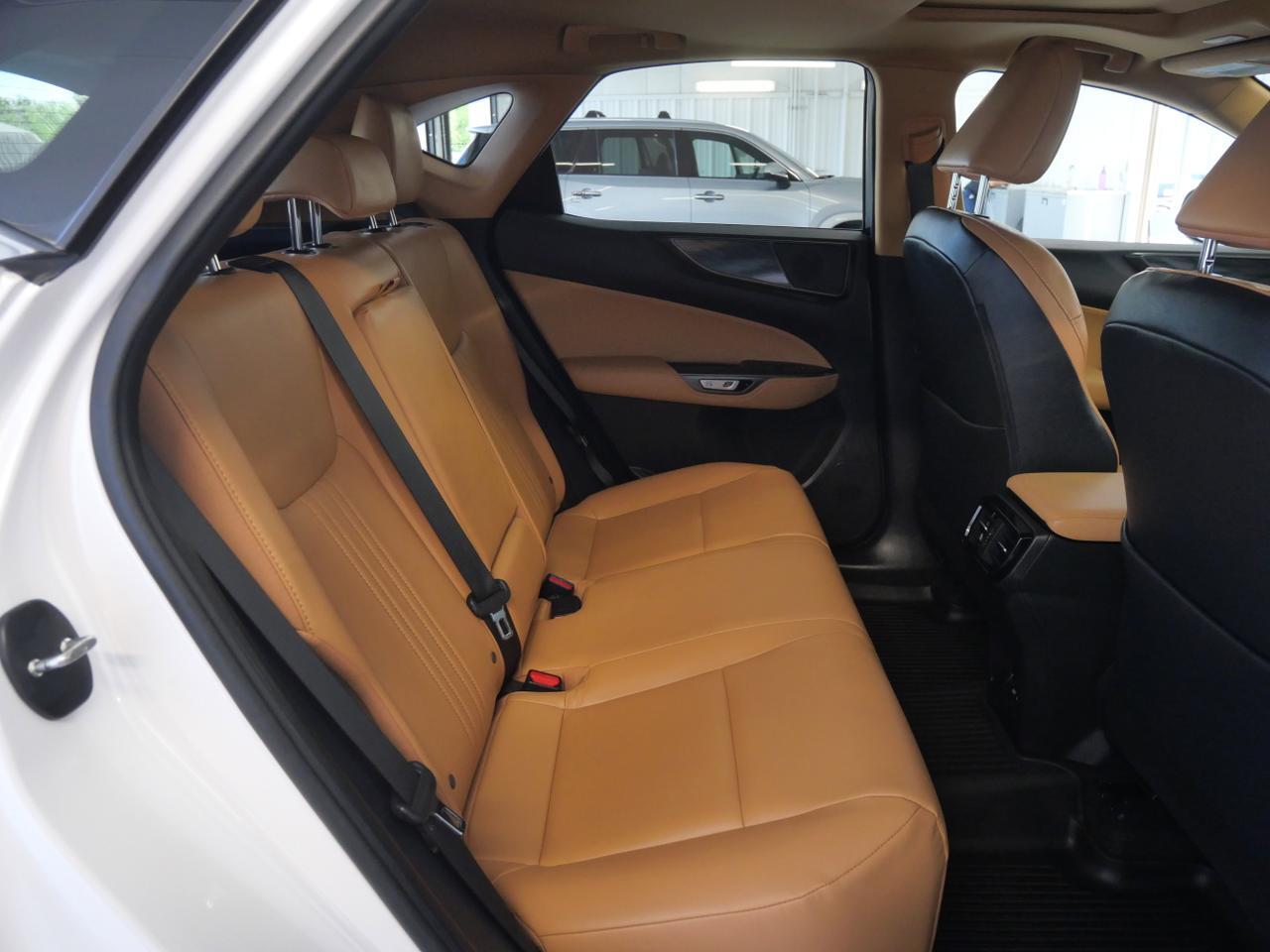 2024 Lexus NX 250 Premium San Juan TX