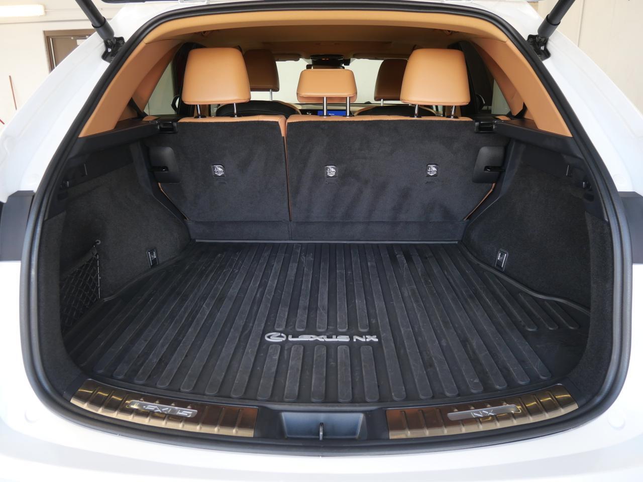 2024 Lexus NX 250 Premium San Juan TX