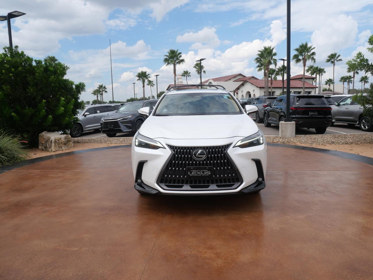 2024 Lexus NX 250 Premium San Juan TX