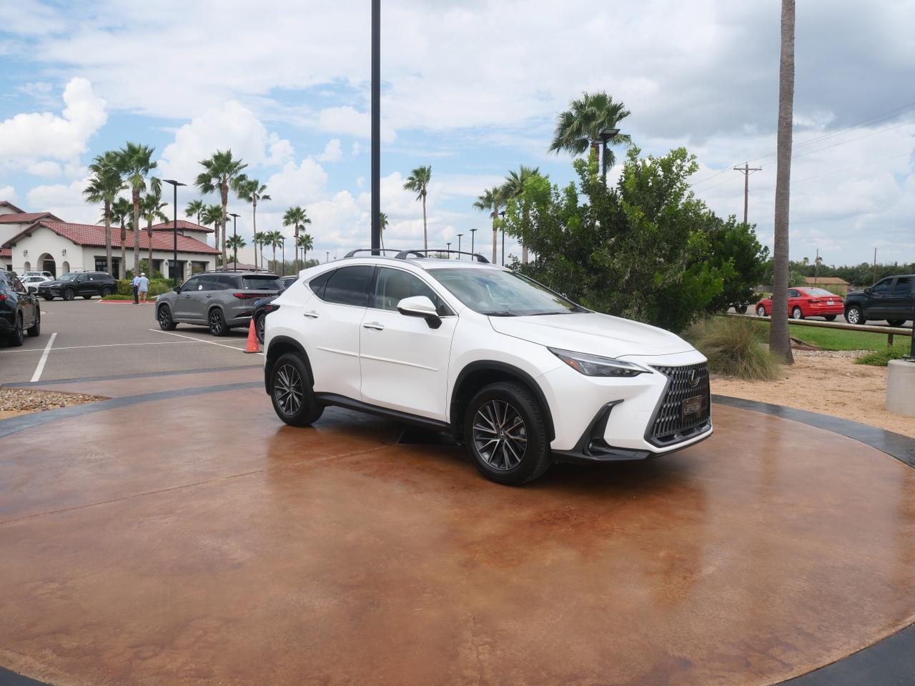 2024 Lexus NX 250 Premium