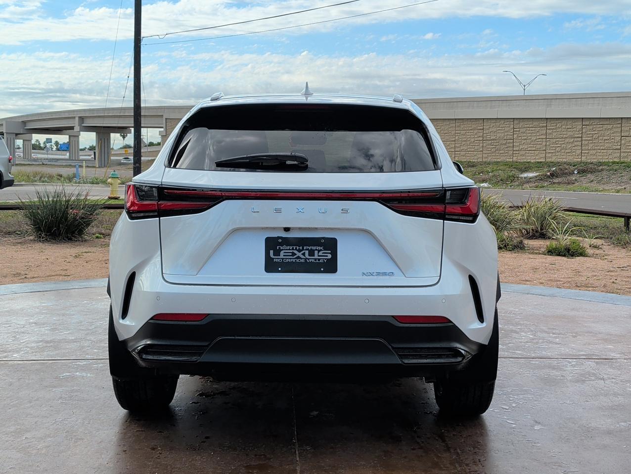 2024 Lexus NX 250 Premium