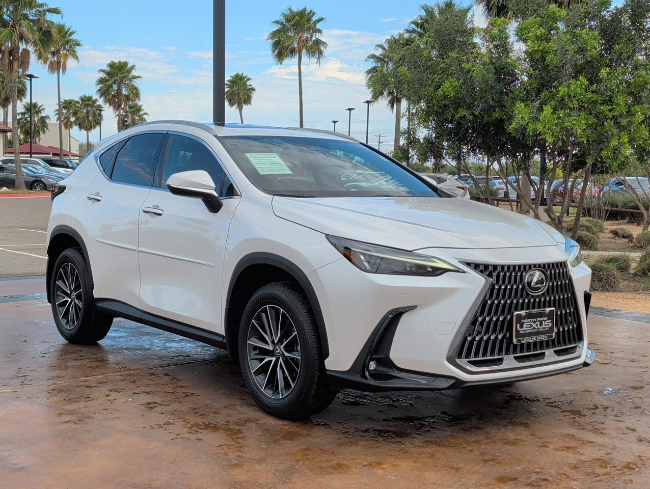 2024 Lexus NX 250 Premium